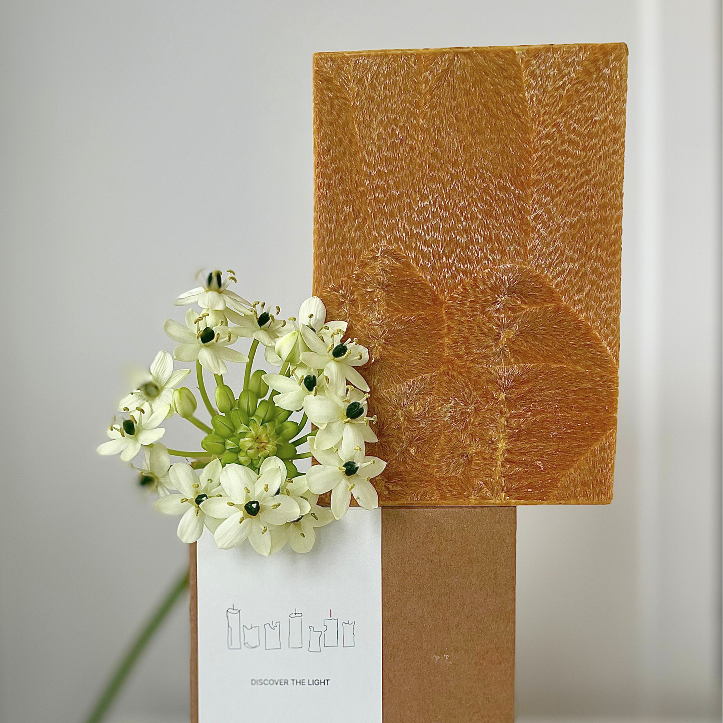 ORANGE CANDLES FAMILY