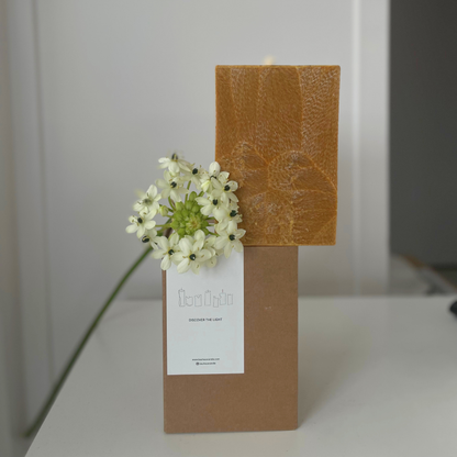 ORANGE CANDLES FAMILY