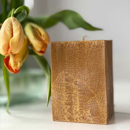 ORANGE CANDLES FAMILY