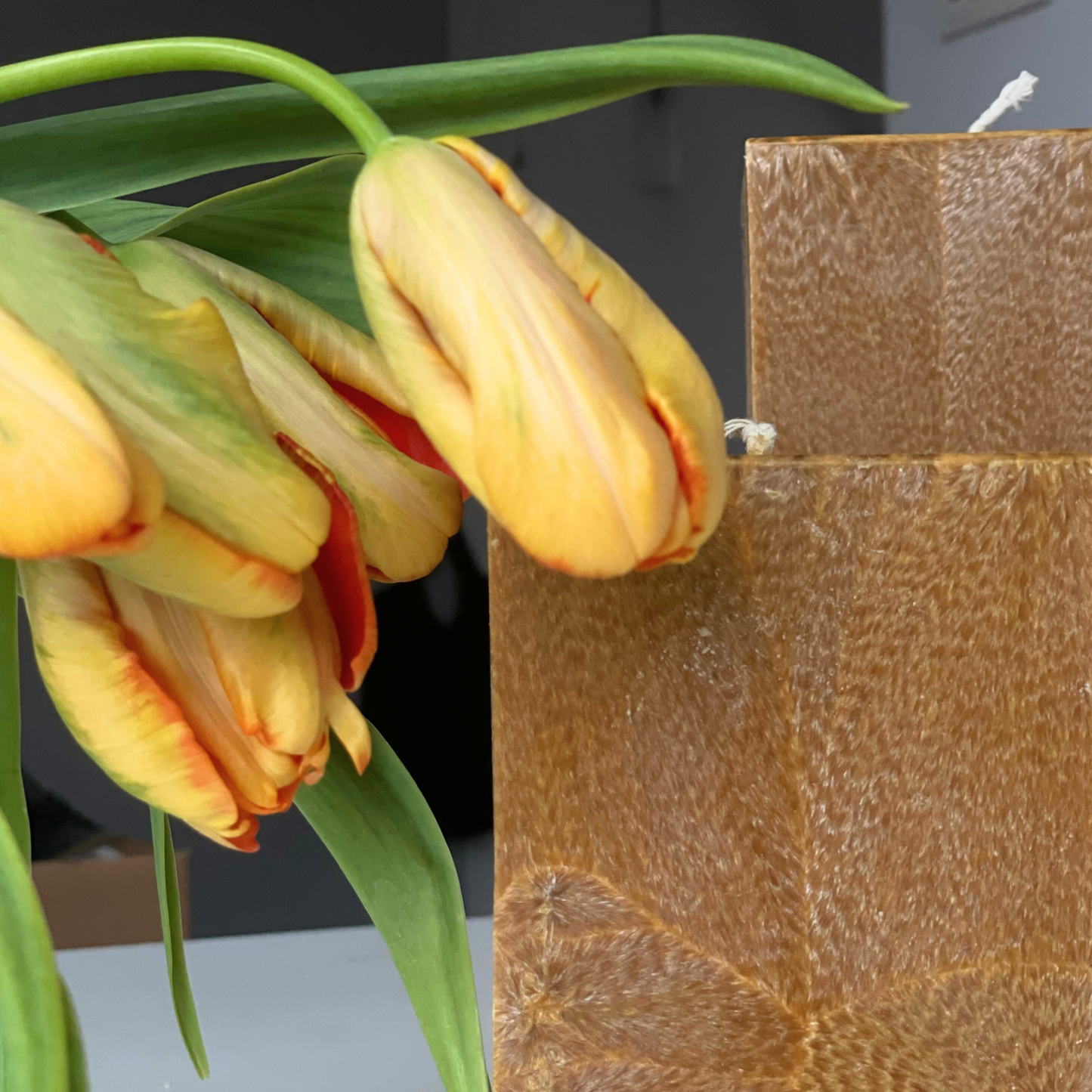 ORANGE CANDLES FAMILY