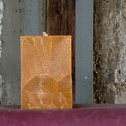 ORANGE CANDLES FAMILY